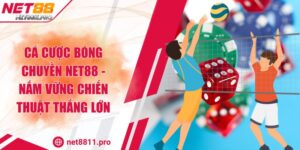 Cá Cược Bóng Chuyền NET88 - Nắm Vững Chiến Thuật Thắng Lớn