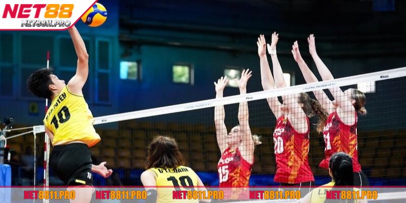 Cá Cược Bóng Chuyền NET88 - Nắm Vững Chiến Thuật Thắng Lớn 3 Điểm qua các loại cá cược bóng chuyền nên chơi nhất