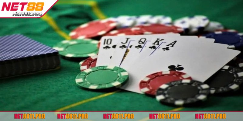 Giao diện hiển thị rõ ràng, mượt mà trên cả thiết bị di động