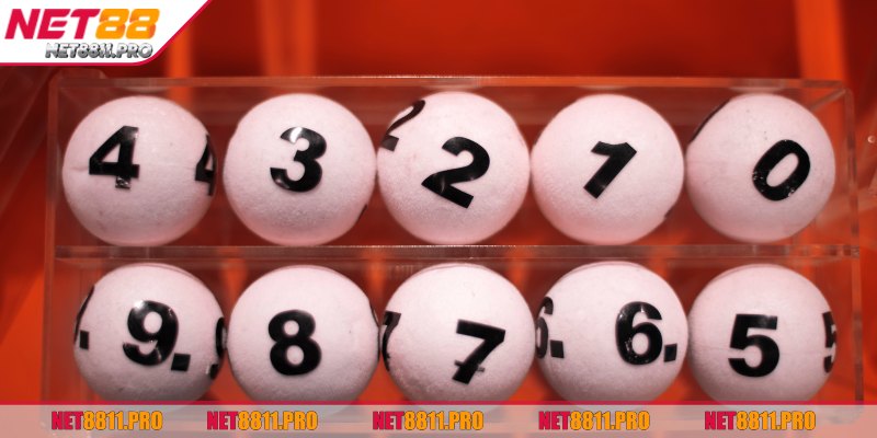 Giới thiệu về dàn chẵn lẻ Net88