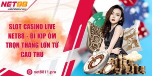 Slot Casino Live NET88 - Bí Kíp Ôm Trọn Thắng Lớn Từ Cao Thủ